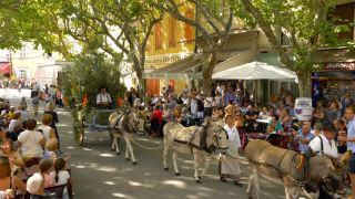 DOCUMENT TERRE Les Alpilles