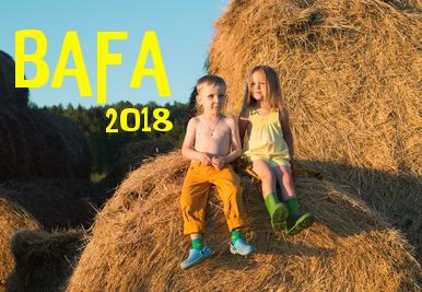 Formation BAFA