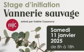 Stage vannerie sauvage