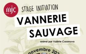 Stage vannerie sauvage (COMPLET)