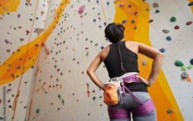 Formulaire d'inscription IGE Adultes
